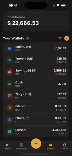 Moongen wallets screen with eight wallets across USD, EUR, GBP, PLN and crypto, each converted to a combined total balance.